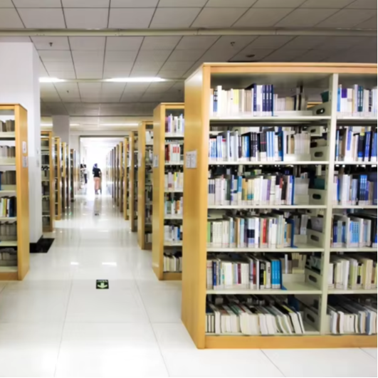 Factory Direct Double-Sided Bo - Home Office And Library avaliação e preço